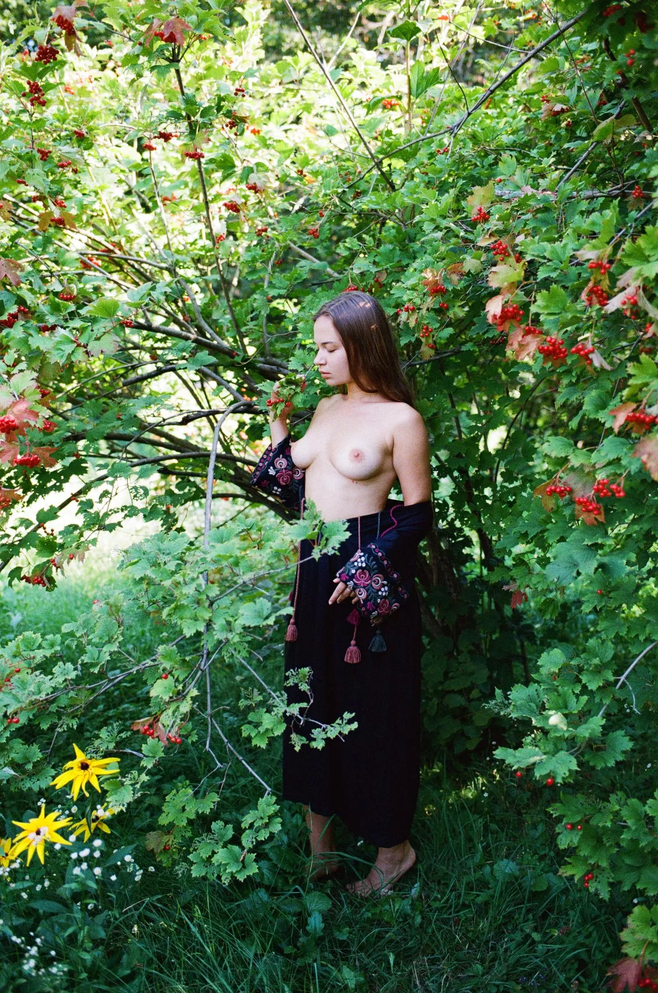 The viburnum trees posted by elcansky