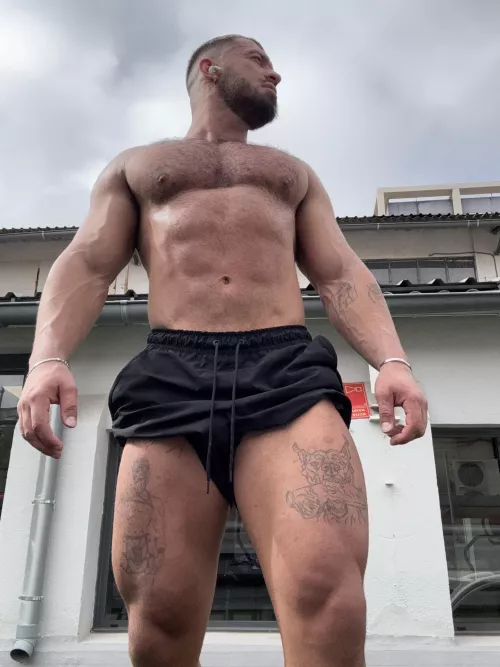 wolf by Big_Nik-Fros