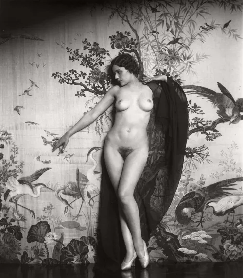 Ziegfeld girl by East_Side_Kink