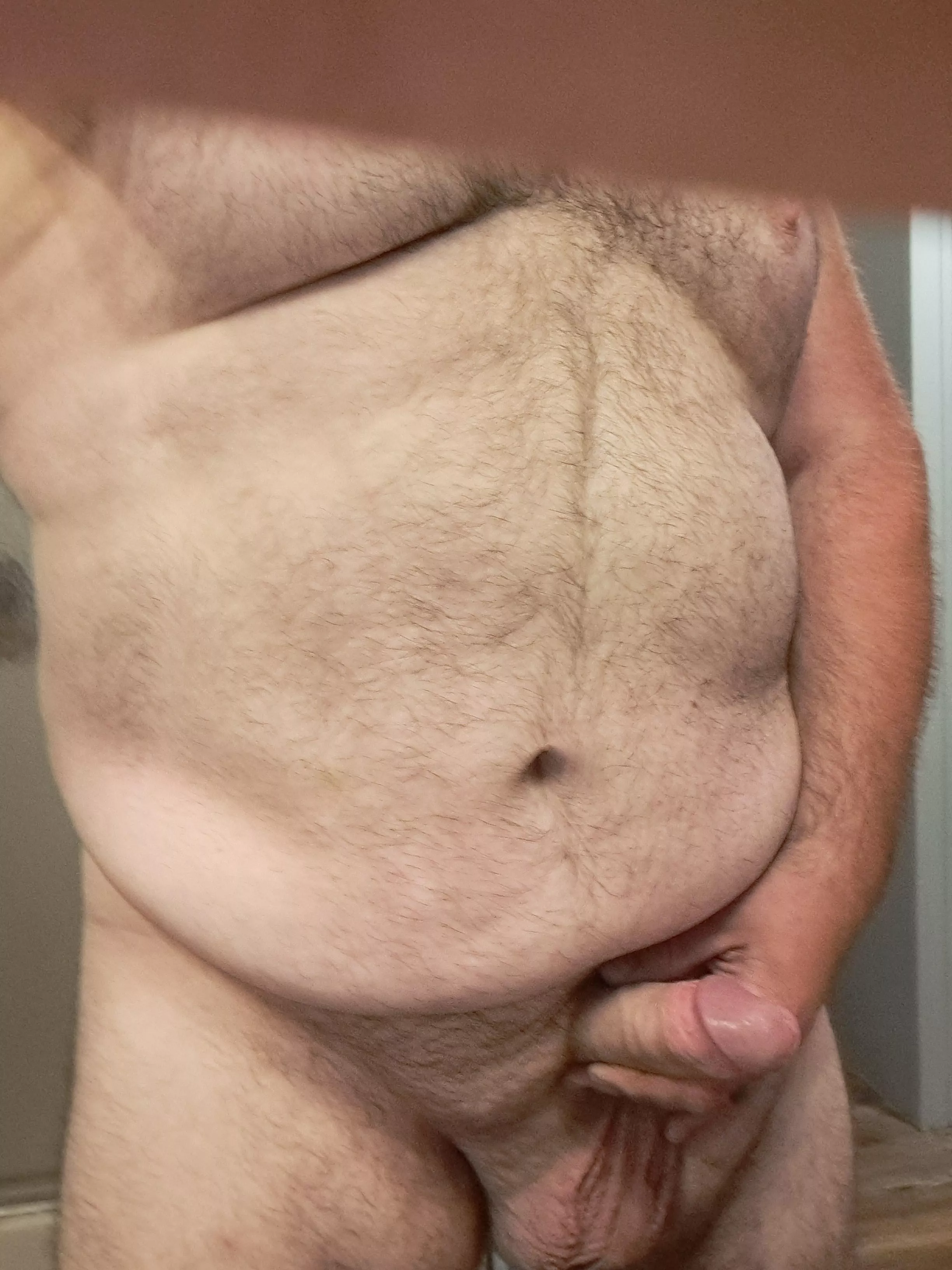 Bear that likes belly rubs  posted by showmetitsancock
