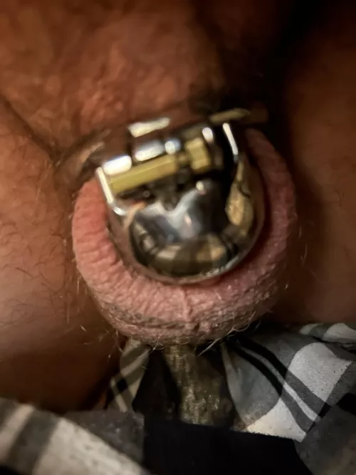 Day 16 - quick snap at work by DistributionHot5771