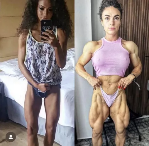 Domitran catalania by arianebrahimi