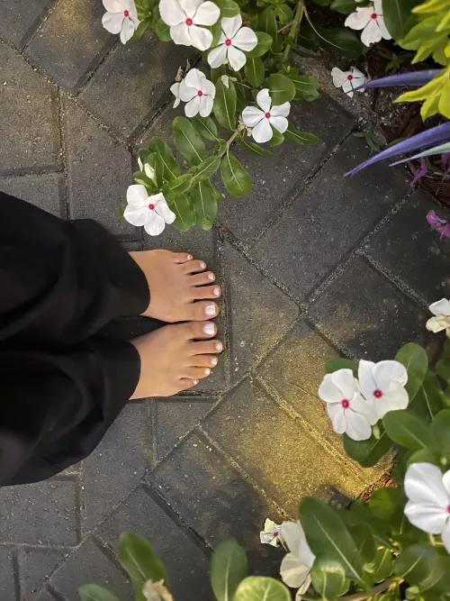 Flowers and toes👣🪷 by solesissys