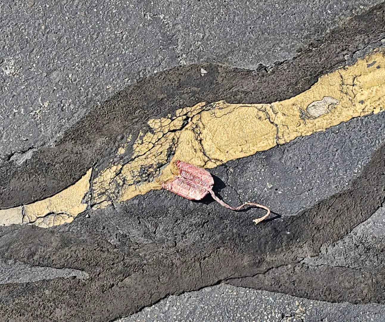 God knows how old tampon in the parking lot. posted by GirlMayXXXX
