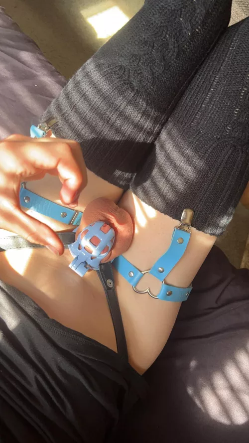 Guess this belongs here  by Objective_Muscle4502