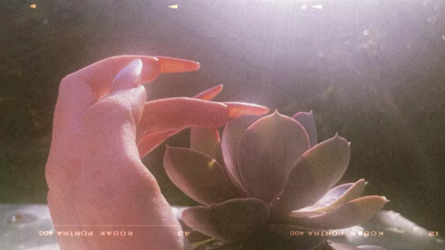 Hands in nature? by elisahappylegs