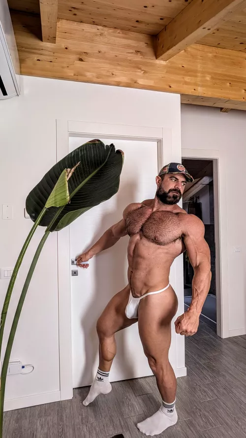 is it big enough for you? by antonycortinovis