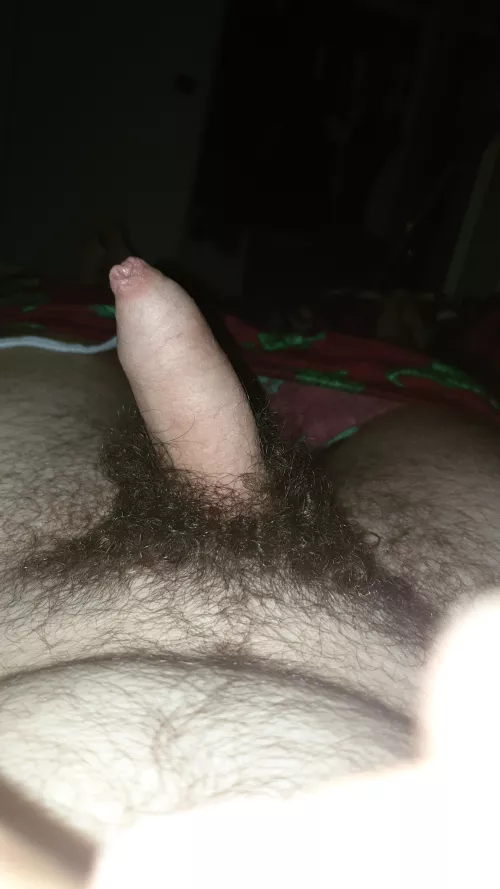 Is my hairy dick appealing to you  by OkLight4232