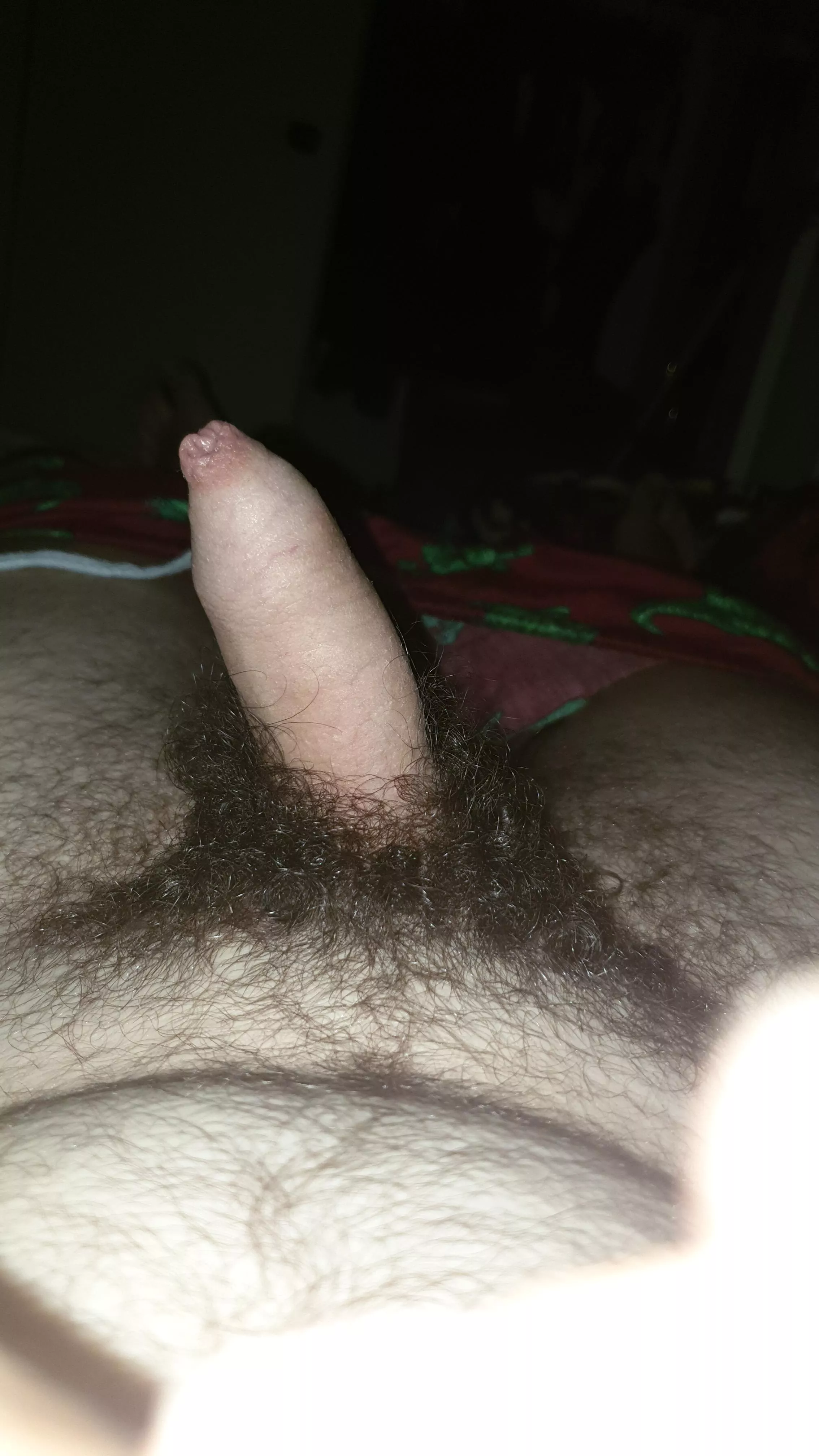 Is my hairy dick appealing to you  posted by OkLight4232