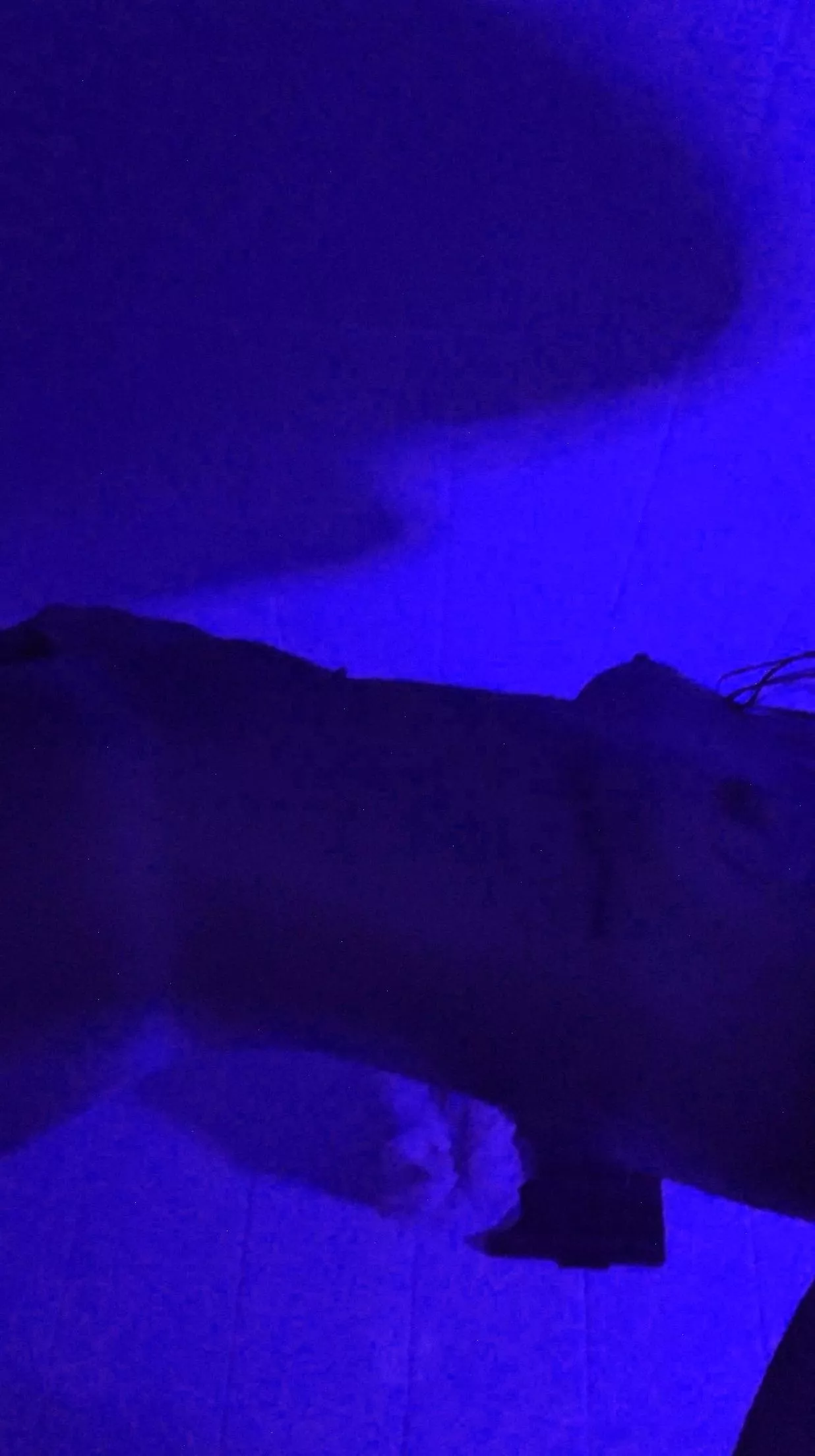 lick my body all over? posted by lexys-world