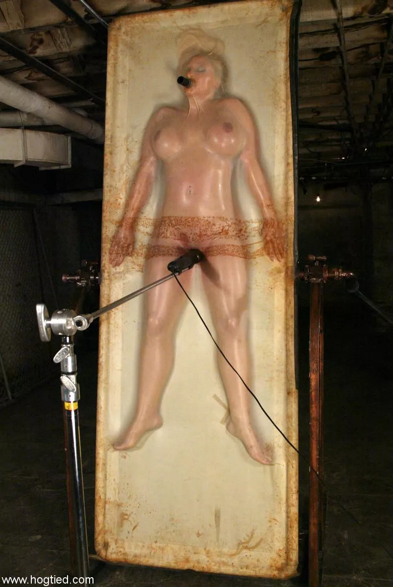 Muffled screaming  posted by Hairy-Examination441