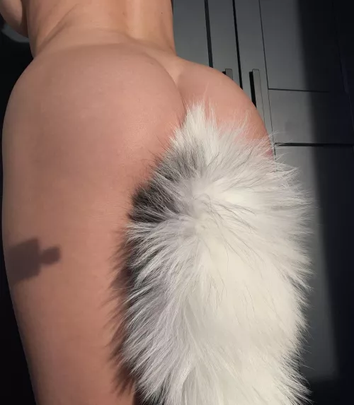 My tail is so magic it just makes me feel a heat inside of my butt by coolrabbiit