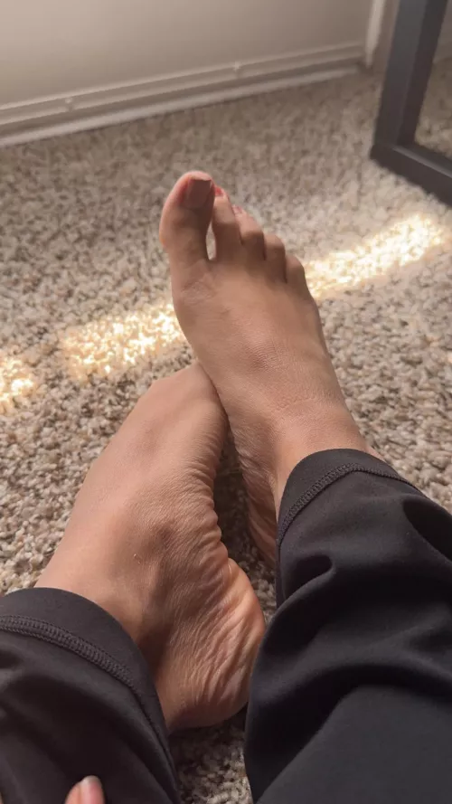 Oh no are you triggered?🤪 by Moist-Ad-9732