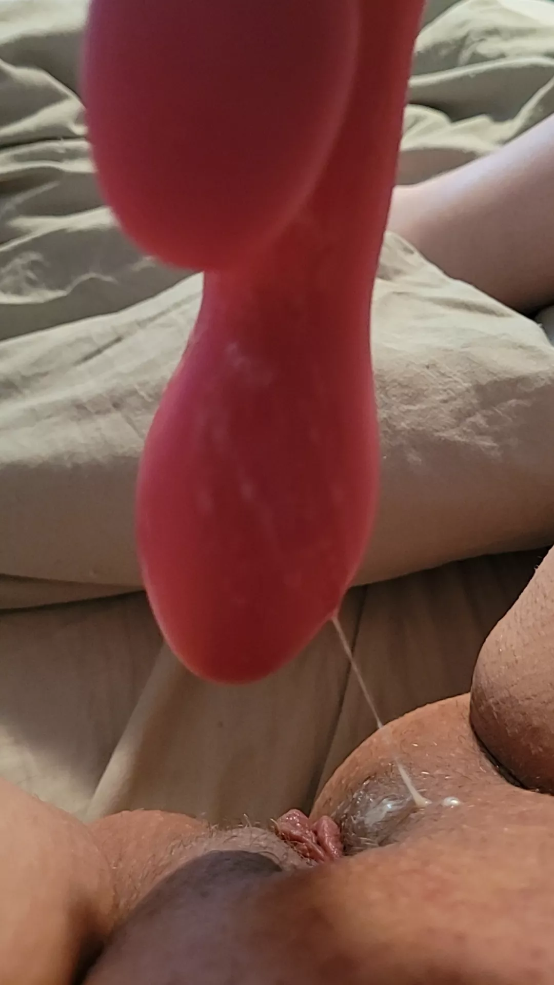 Think of the mess we could make together  posted by CanadianTemptress