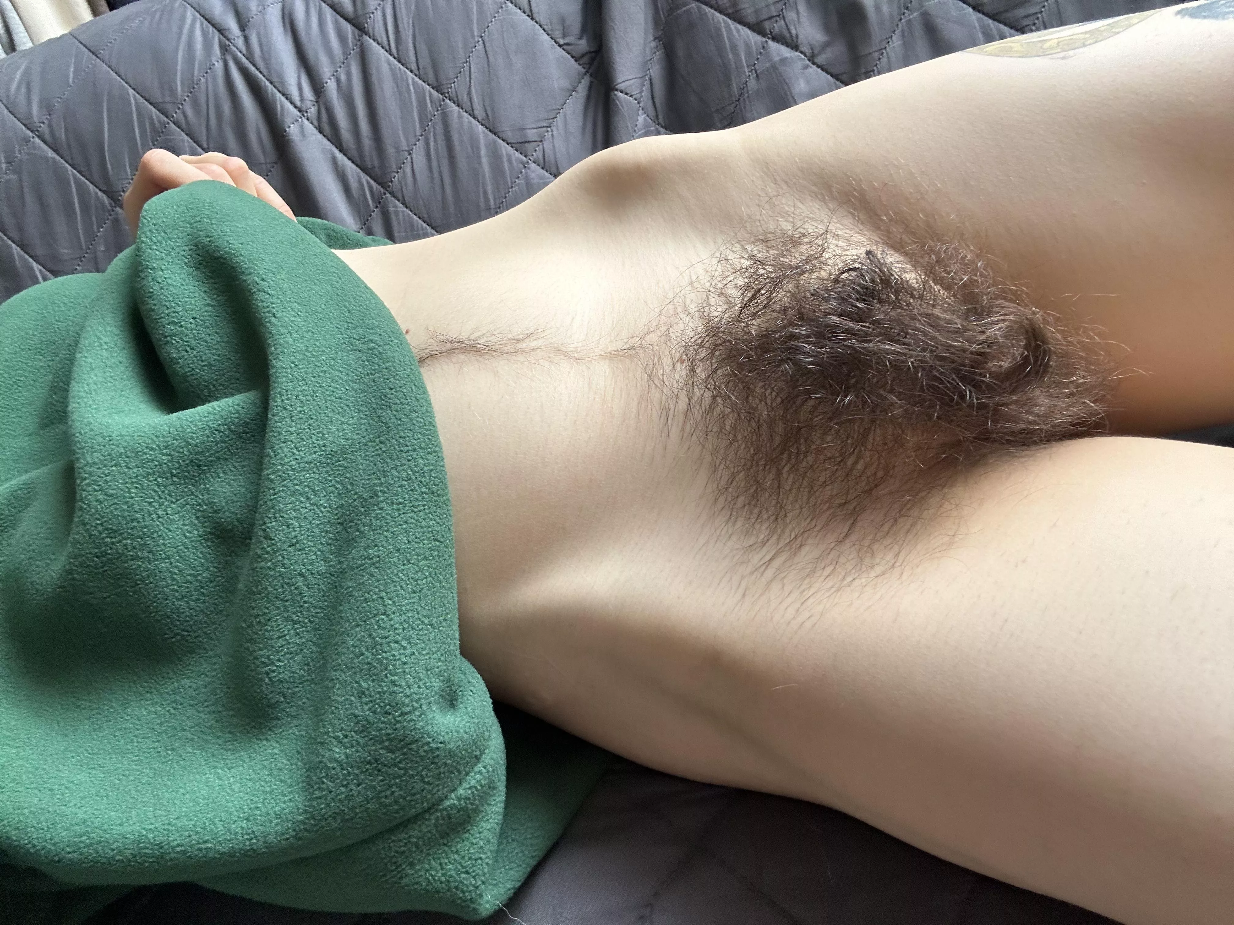 Wanna get up close and personal with my wild bush? posted by Creative-Strength-17