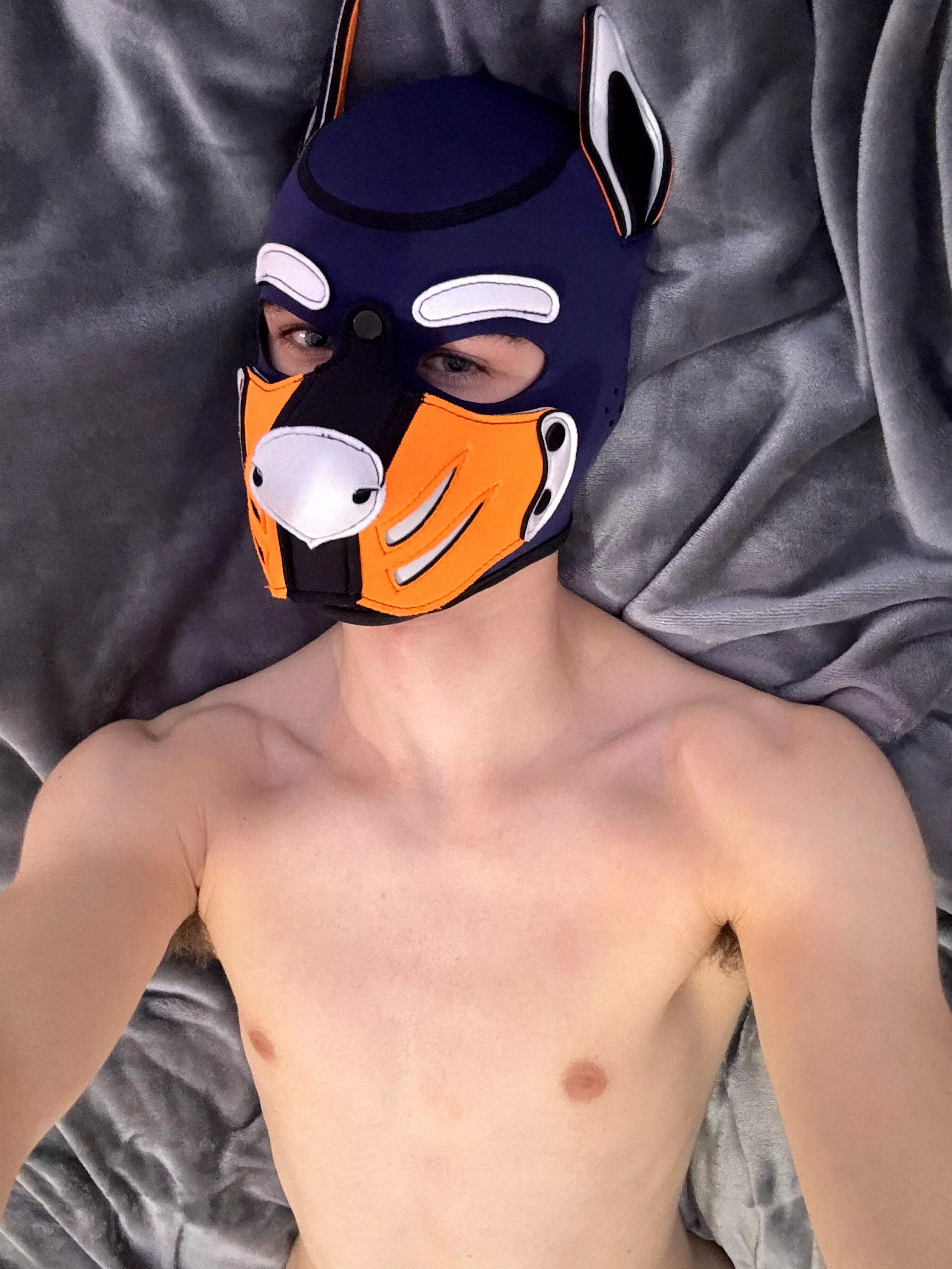 who wants to join me for cuddles? posted by Jake_Taro