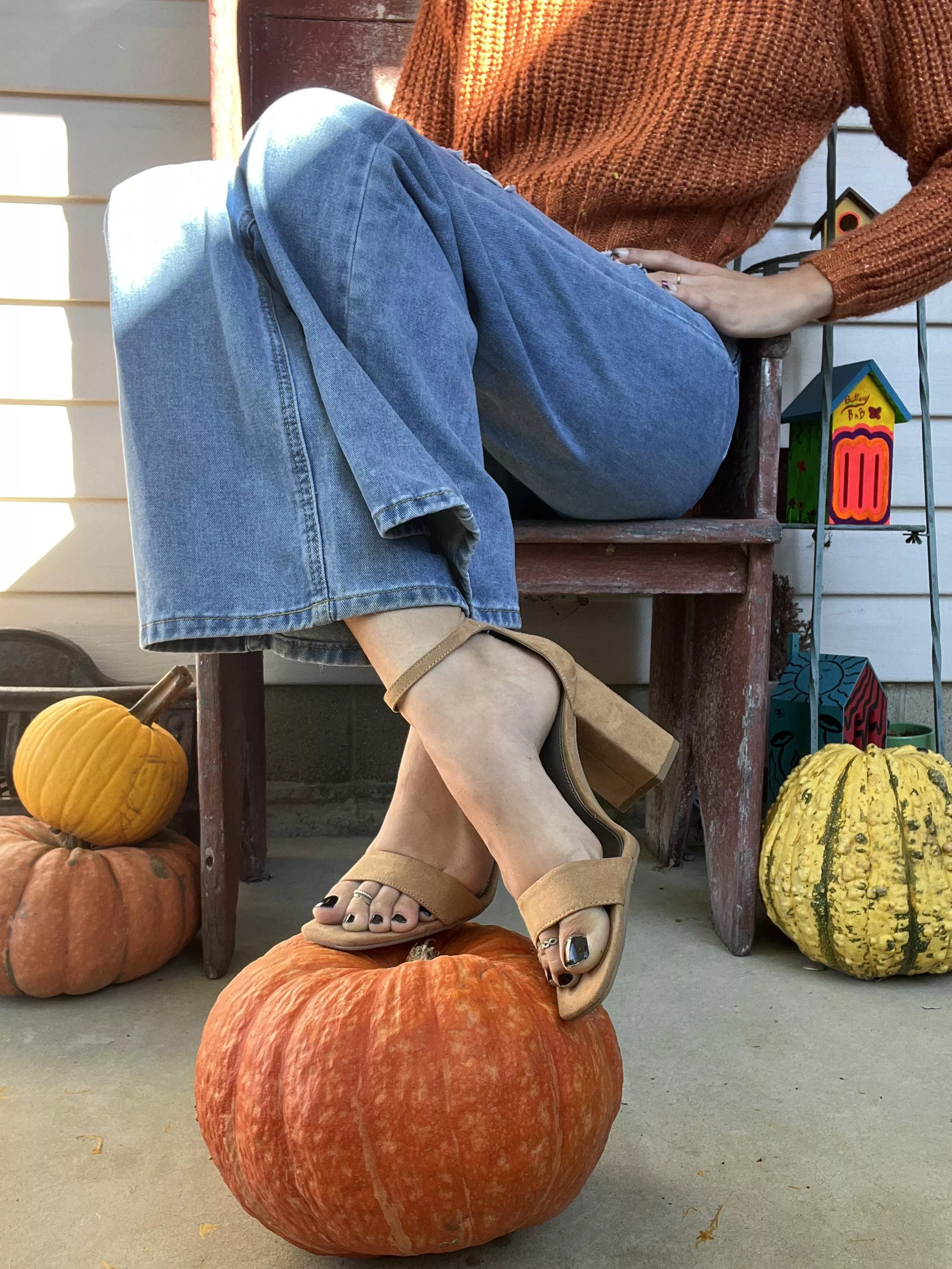 A little pumpkin spice for your day posted by Vera_bee666