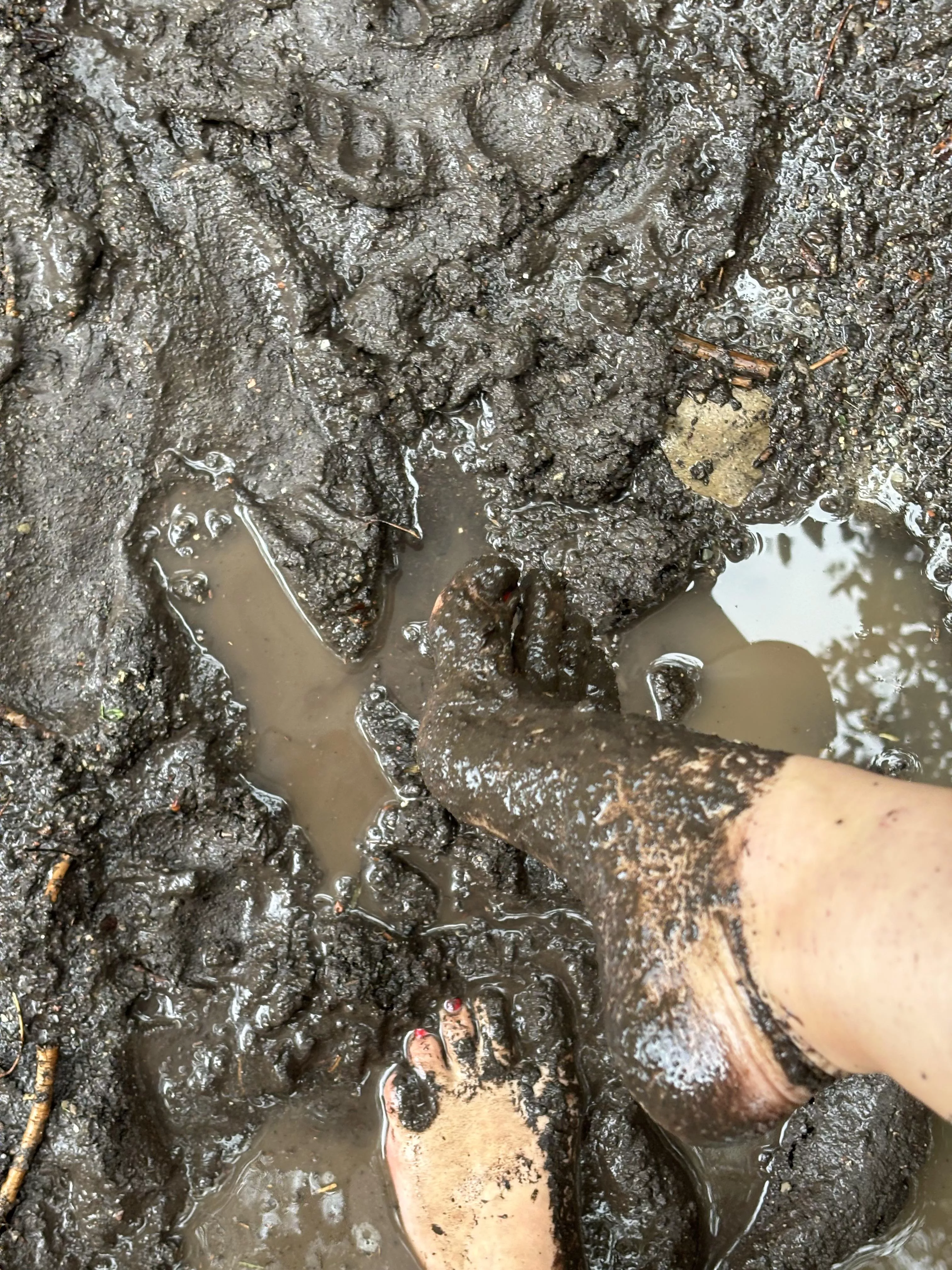 another pic of my last day's barefoot walk in the mud posted by onlyjuliavoss