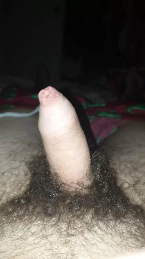 Dms open by OkLight4232