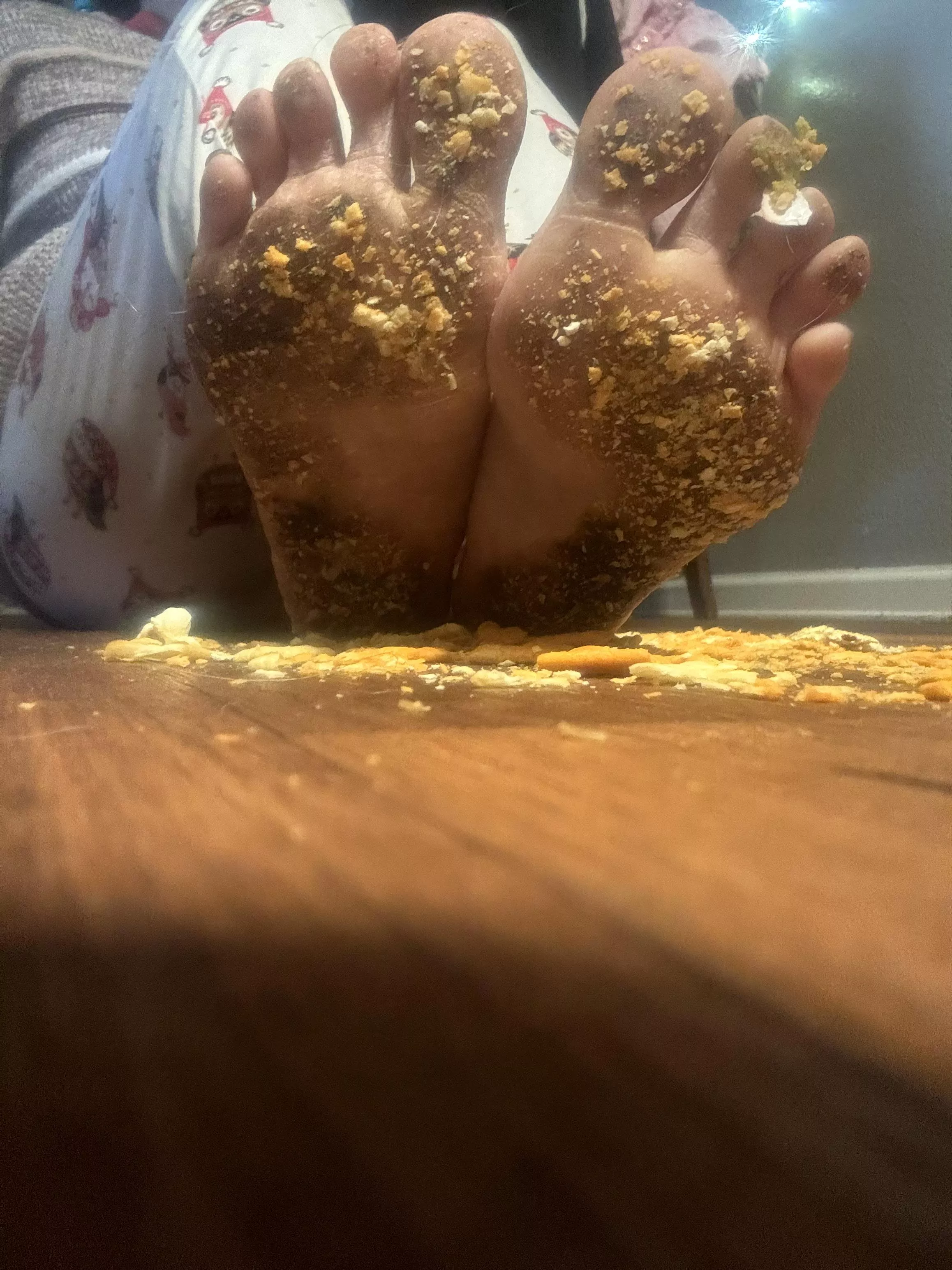 Empress says it’s snack time, I’m too generous. posted by empress_sophie3