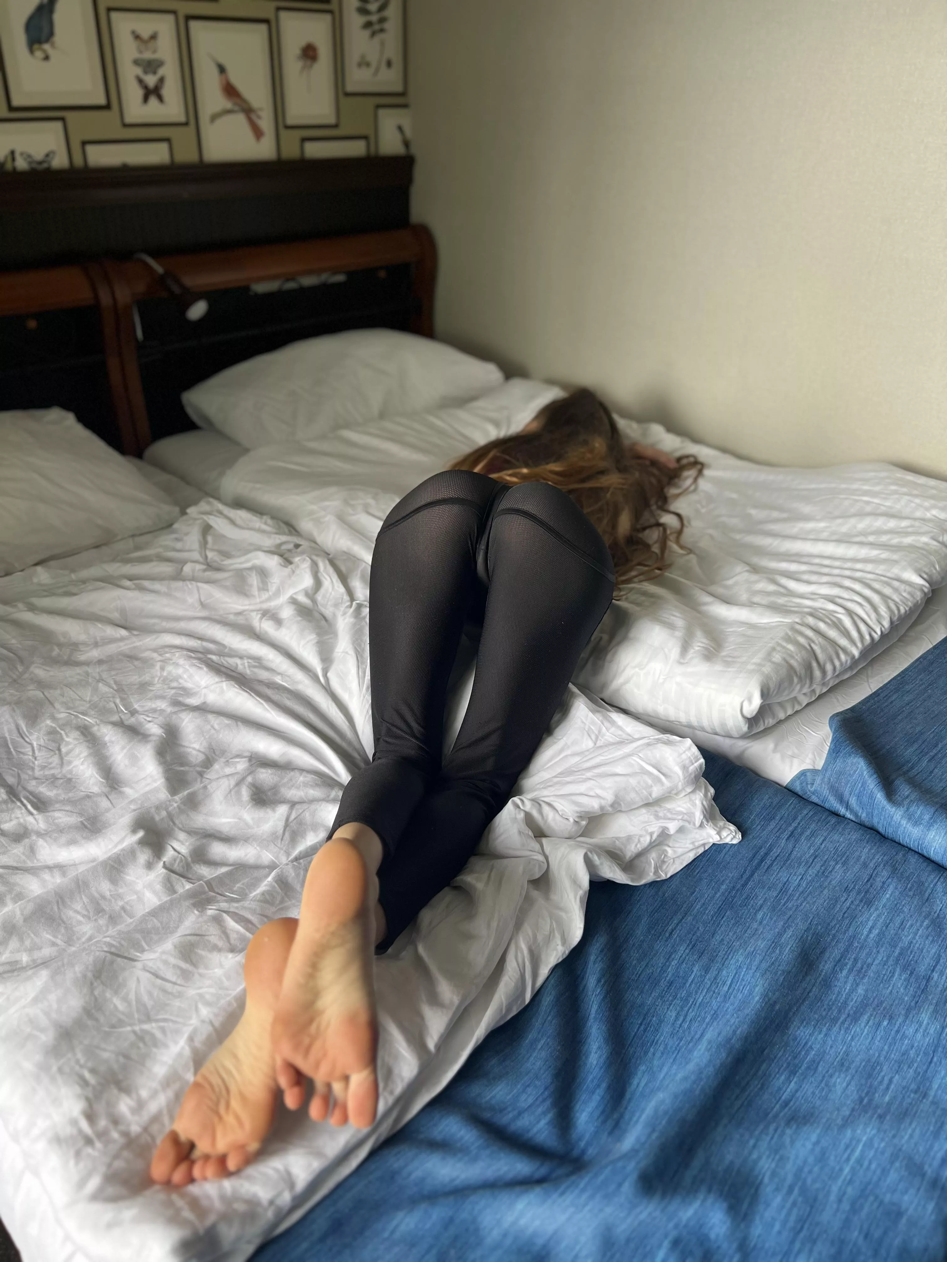 give me some coffee and tongue please posted by Collegeyoga