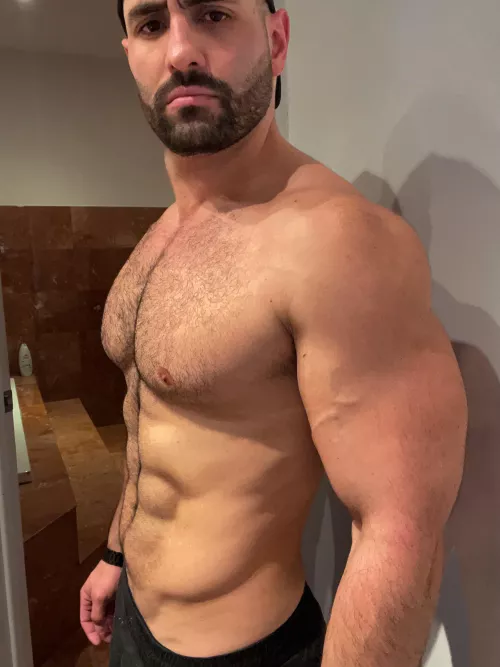 Hairy massive chest for your viewing pleasure by dietplanit