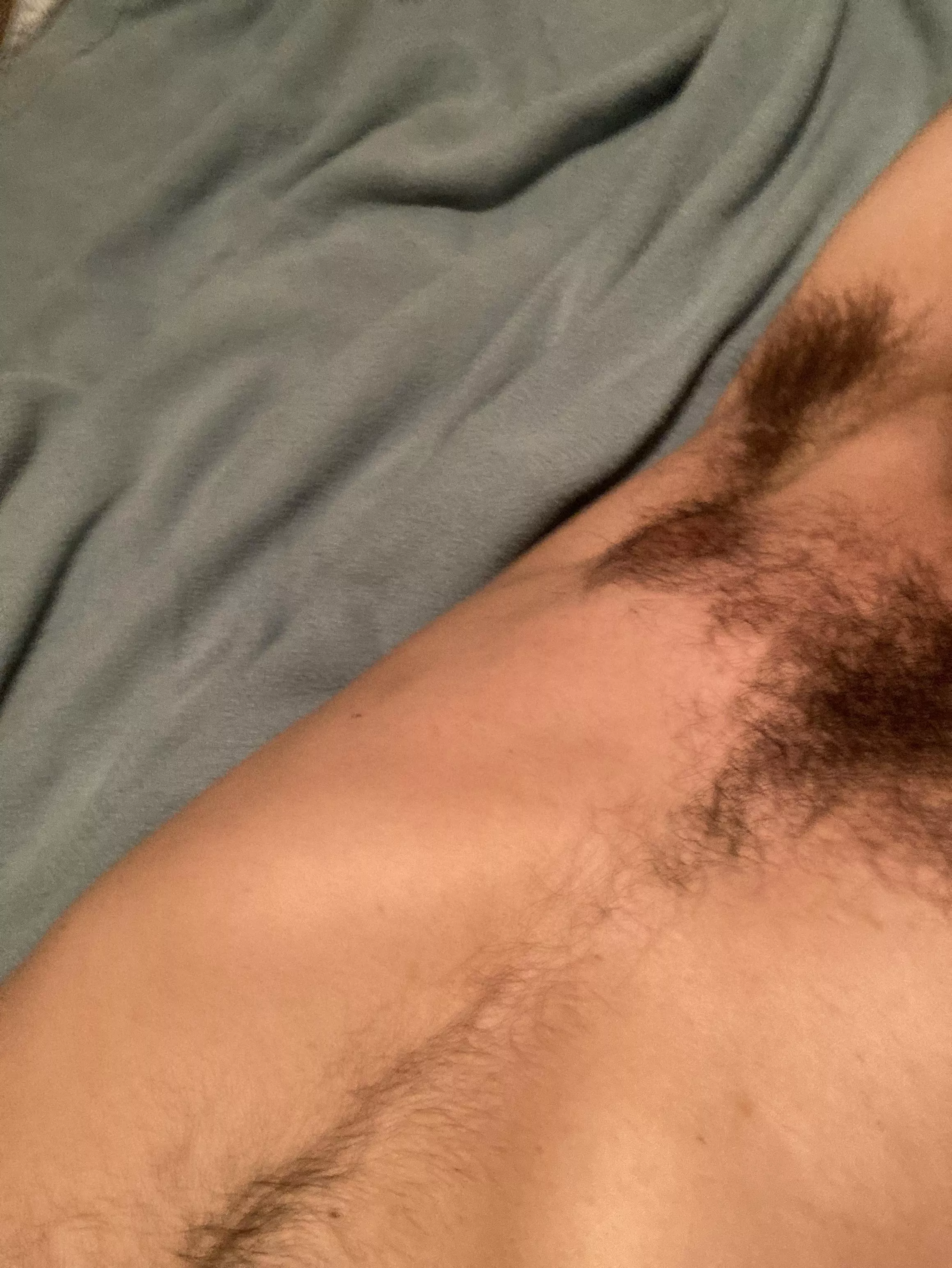 Snuggle on in there posted by ownedandondisplay