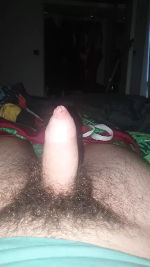 Want it? by OkLight4232