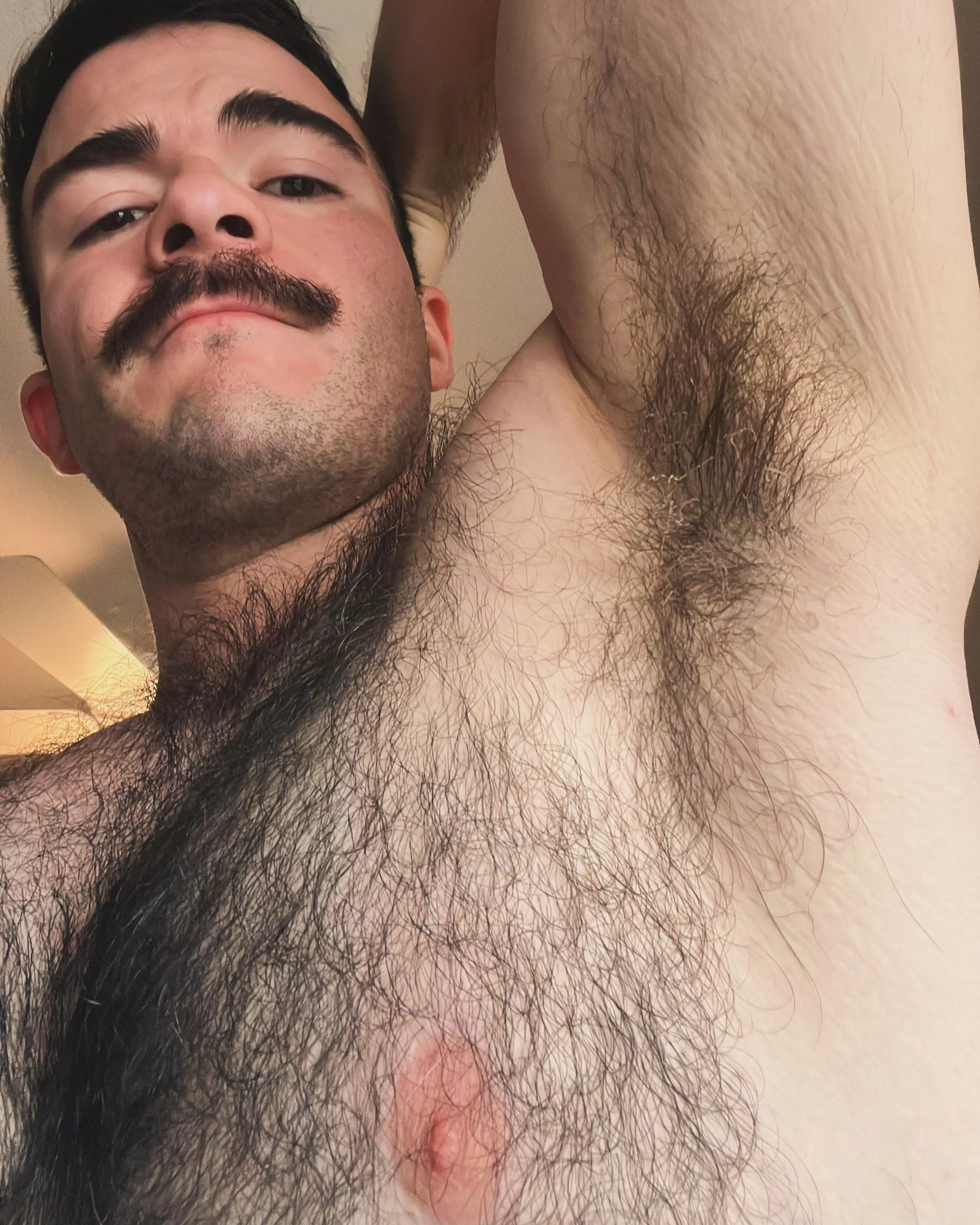 You smell that Dude? It’s not me. Here, check. posted by AdjectiveOtter