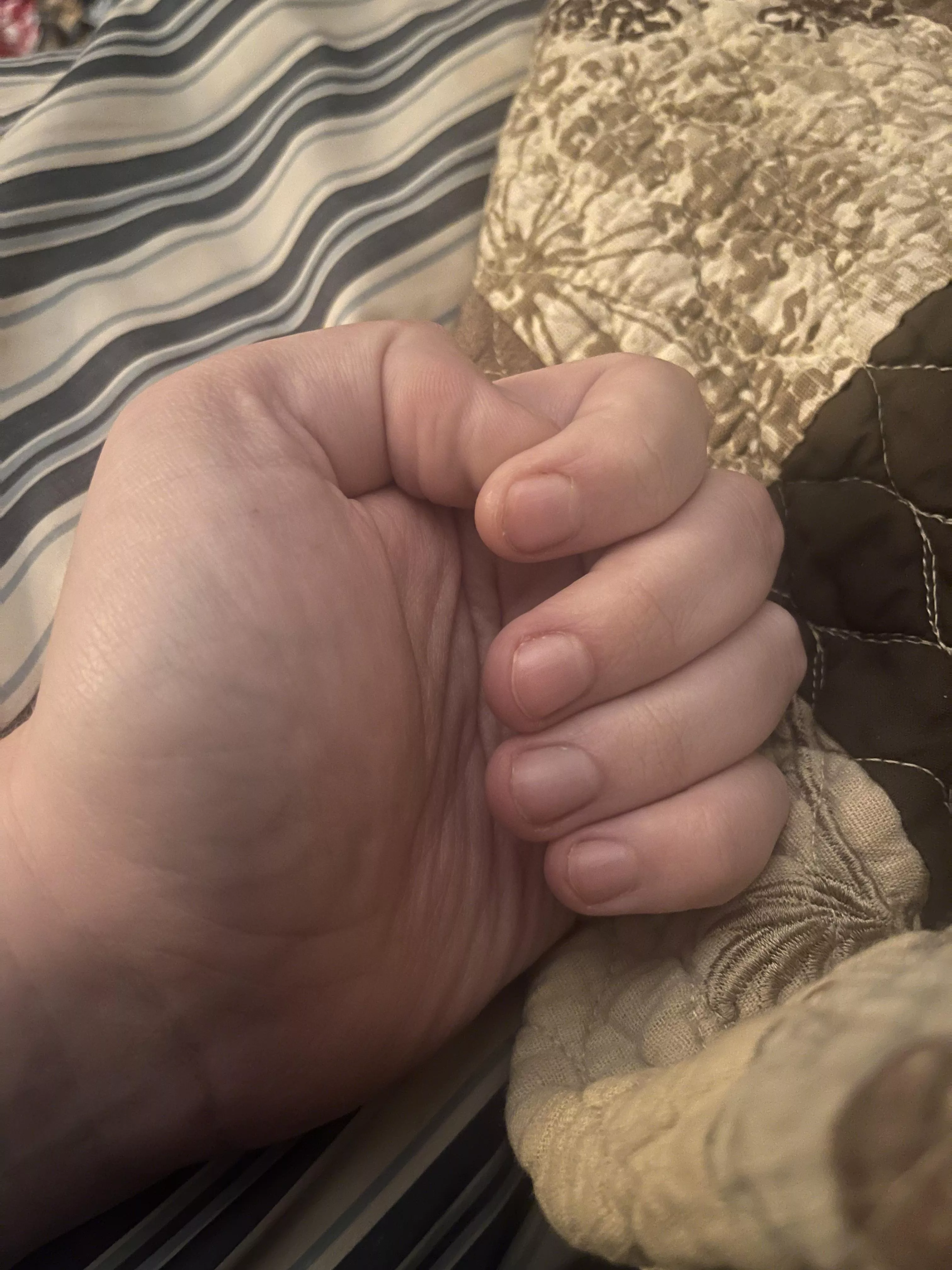 Any ladies need a hand? posted by CannonMan1