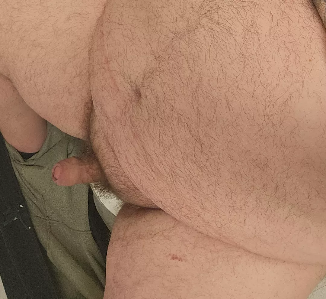 Big belly bear hard a work. DMs open. posted by CasualHaunting