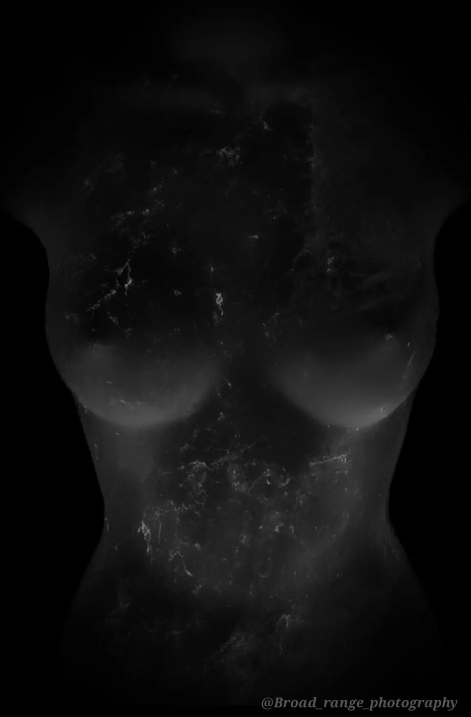 B&W. Covered in spiderweb  posted by broad_range_photos