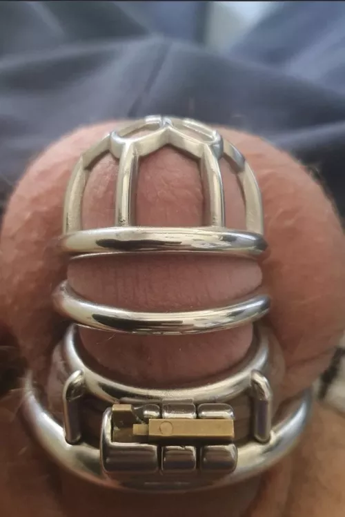 Check by polipopi124