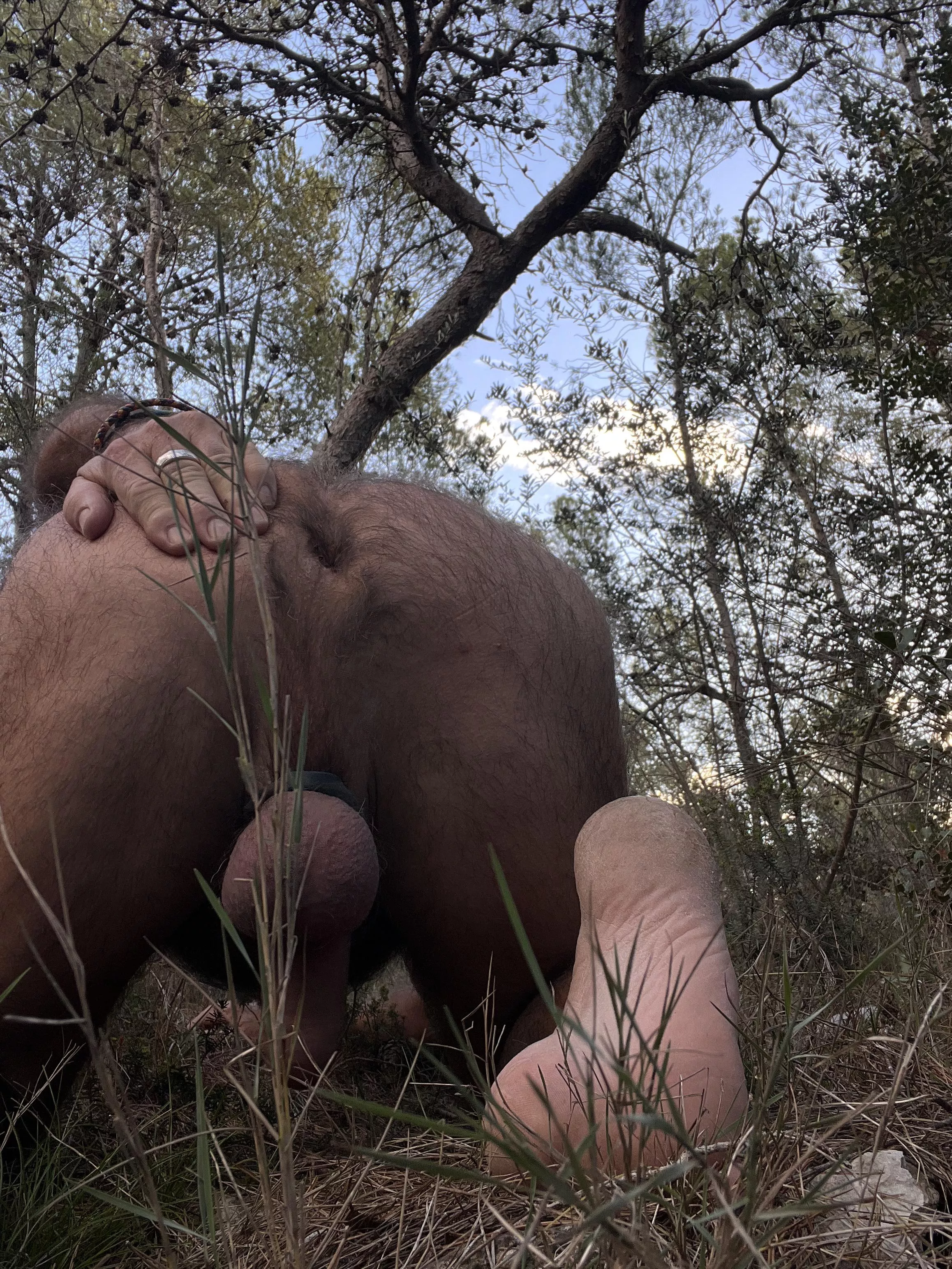 Daddybears forest walk. Just had to wank off!! Age [58] posted by Daddybear_valencia