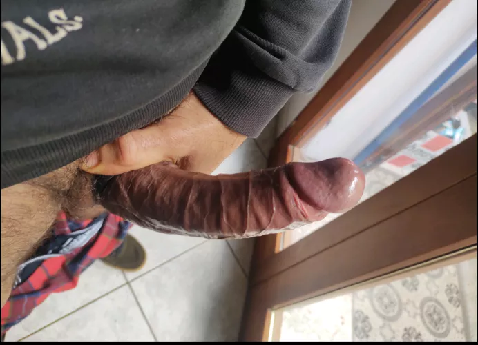 Horny 20, what would you do?  by Temporary_Risk_3873