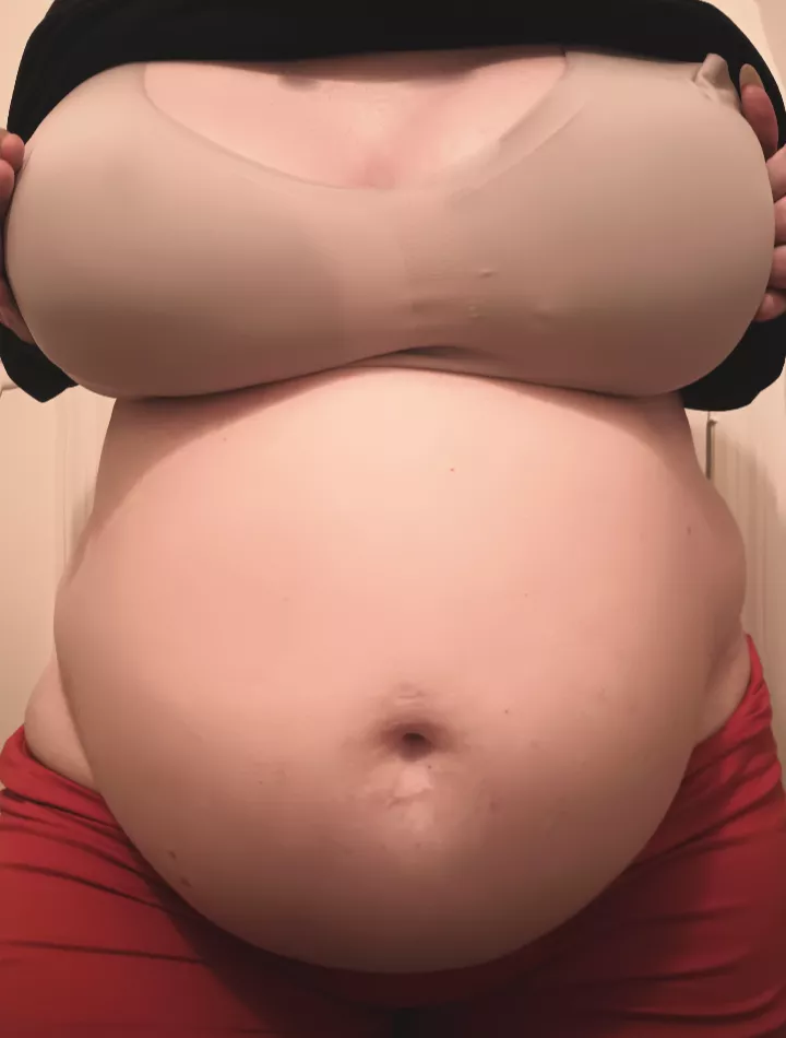 I'm now looking stuffed 24/7 : posted by HungrylilKitty1