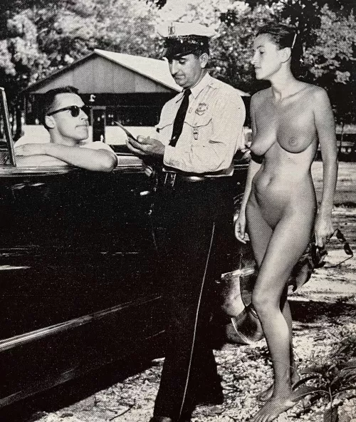 I’m Sorry Officer, I Was Distracted by ahilava