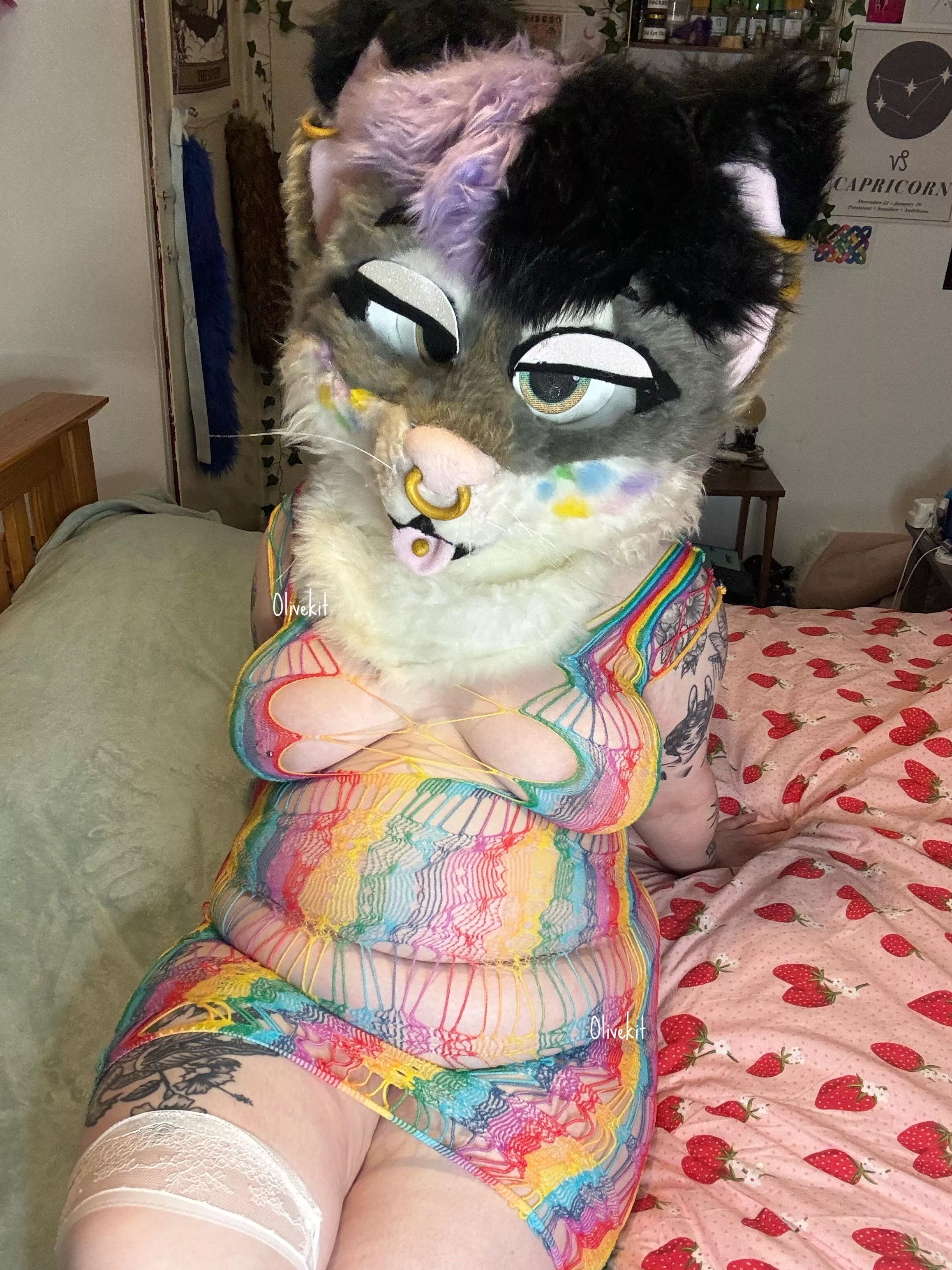 Make this thick kitty purr posted by olivekit