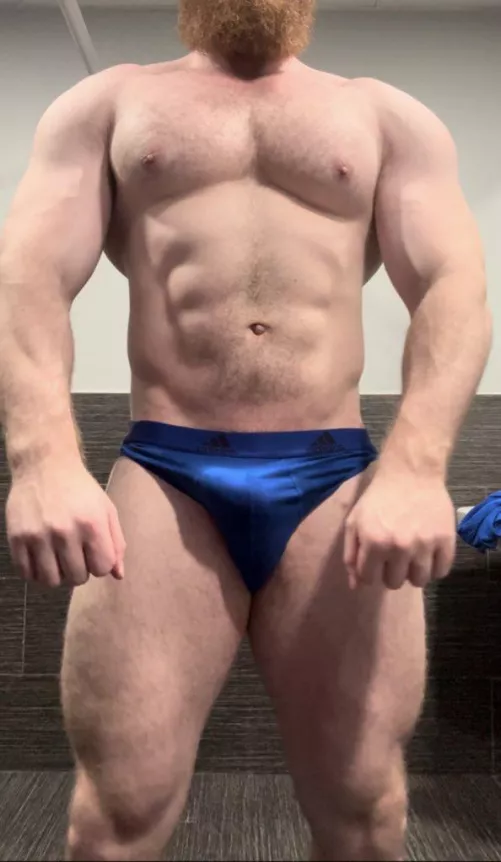 More (muscle) please by pec_inspector