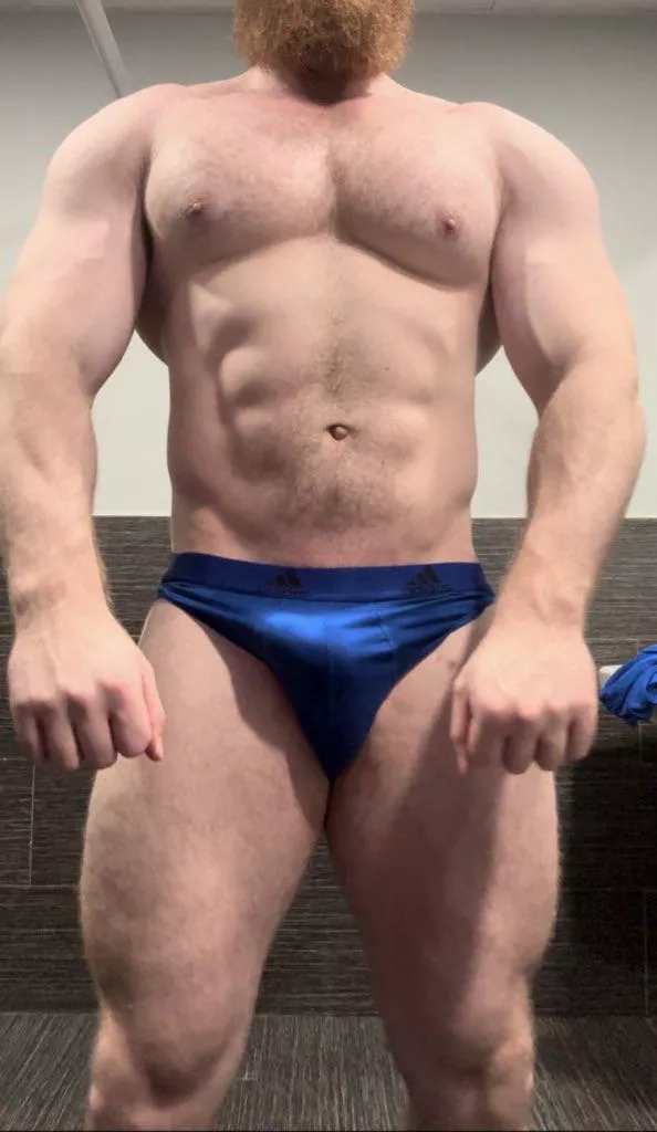 More (muscle) please posted by pec_inspector