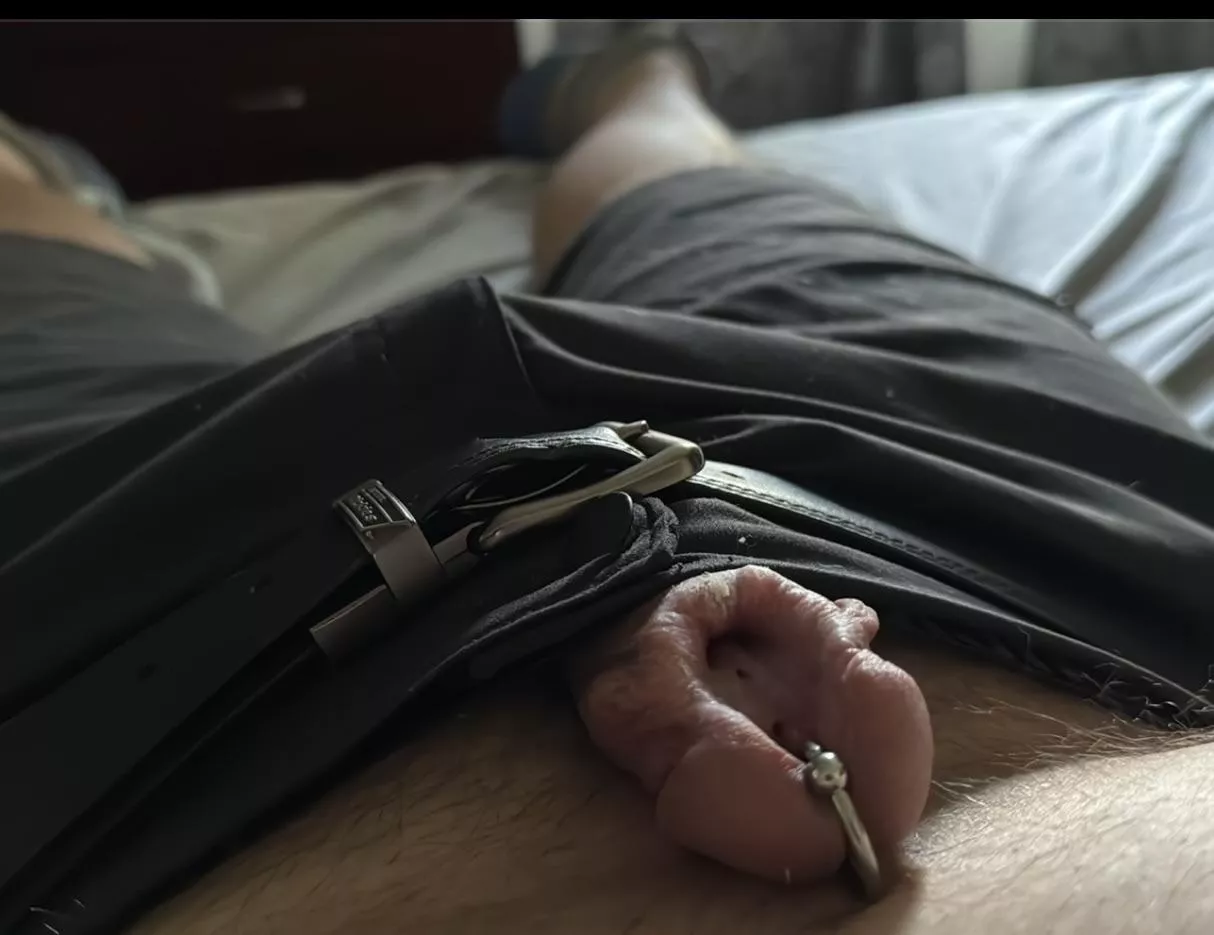 RPA piercing and Subincision posted by SubPiercedDaddy