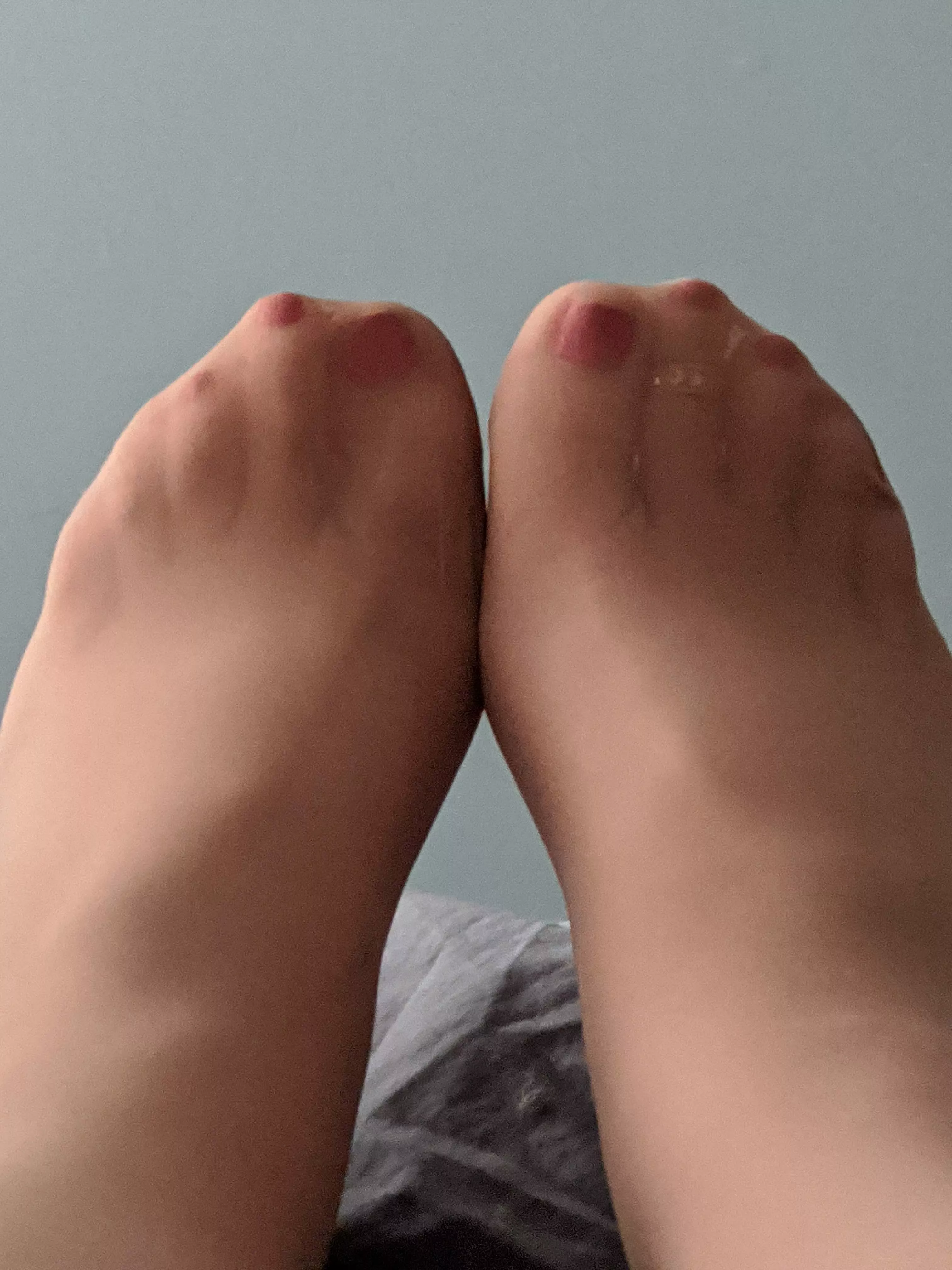 Suntan pantyhose with dark pink toe polish and toe ring - image posted by TheHotAvery