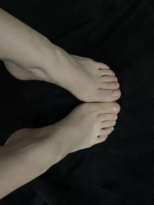 Tell me they are cute by Grouchy_Laugh_2781