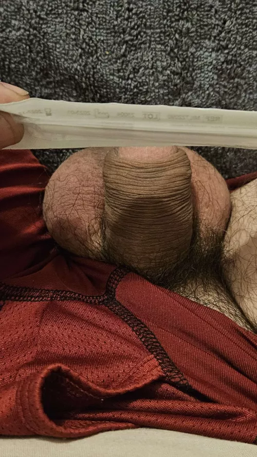 Want to do a skewer video with these long ones that I just got by MR2Crazy4U