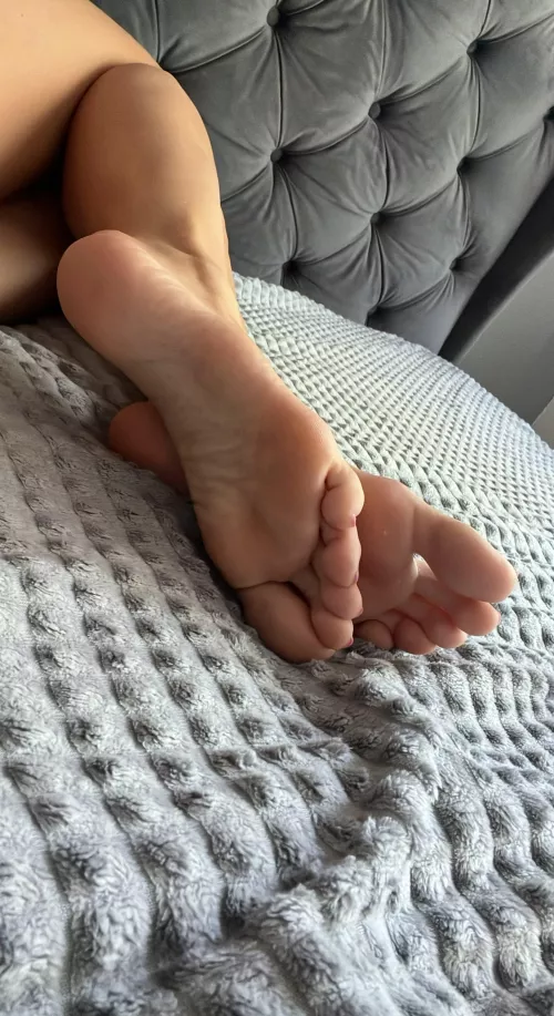 Would you like a taste of my toes [oc] by CheeringBee