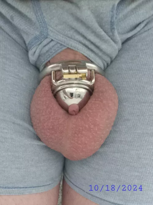 Daily Check In: Day 17 by LoveLocktober