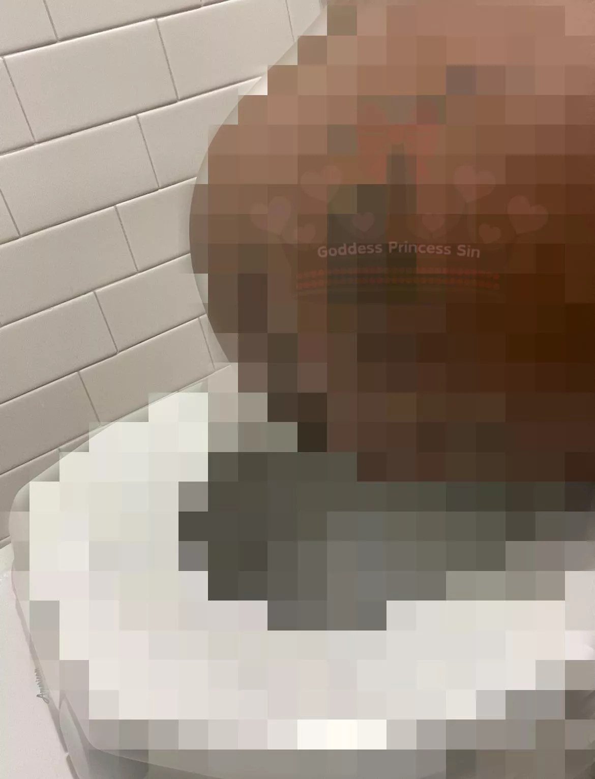 Feeder Seeking Toilet. I’m in NY/NJ Area.  posted by Sinna_B