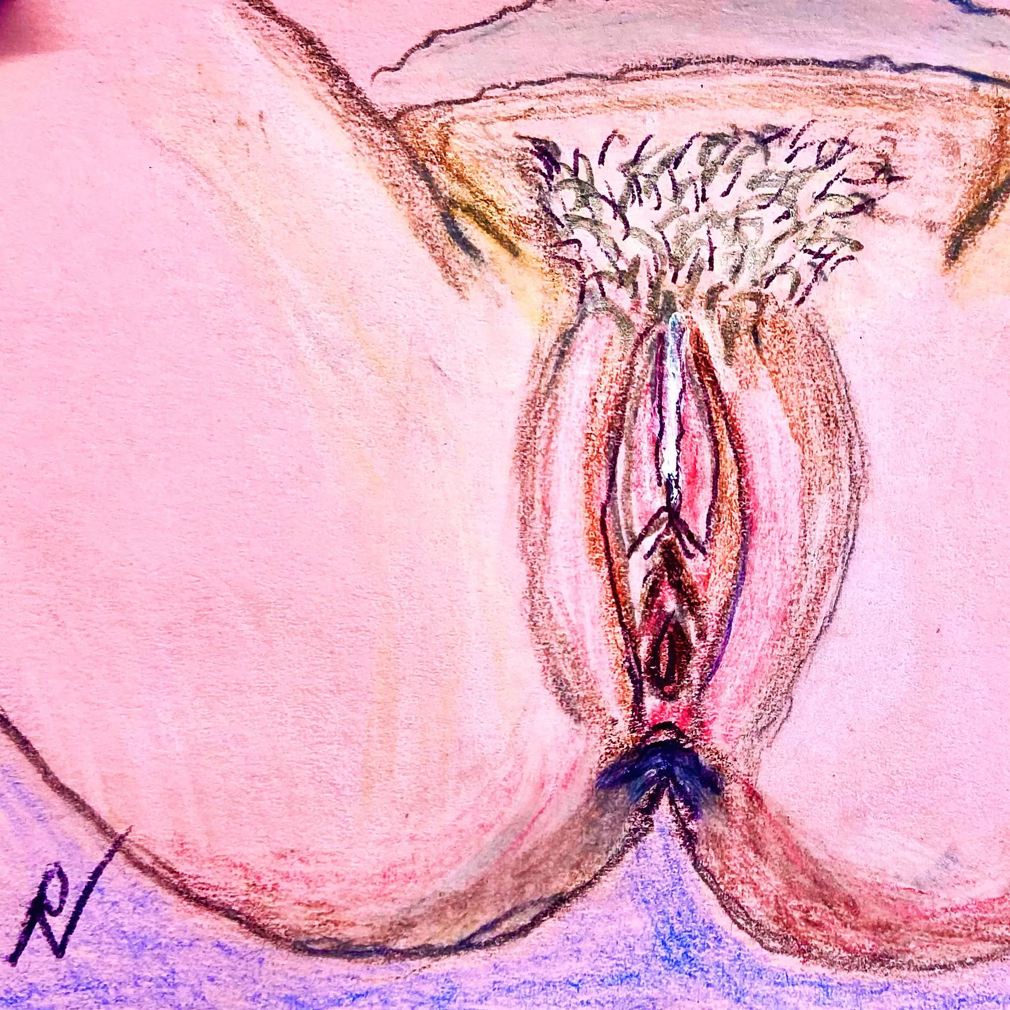 Friday feast… by me posted by RangeAggravating5626