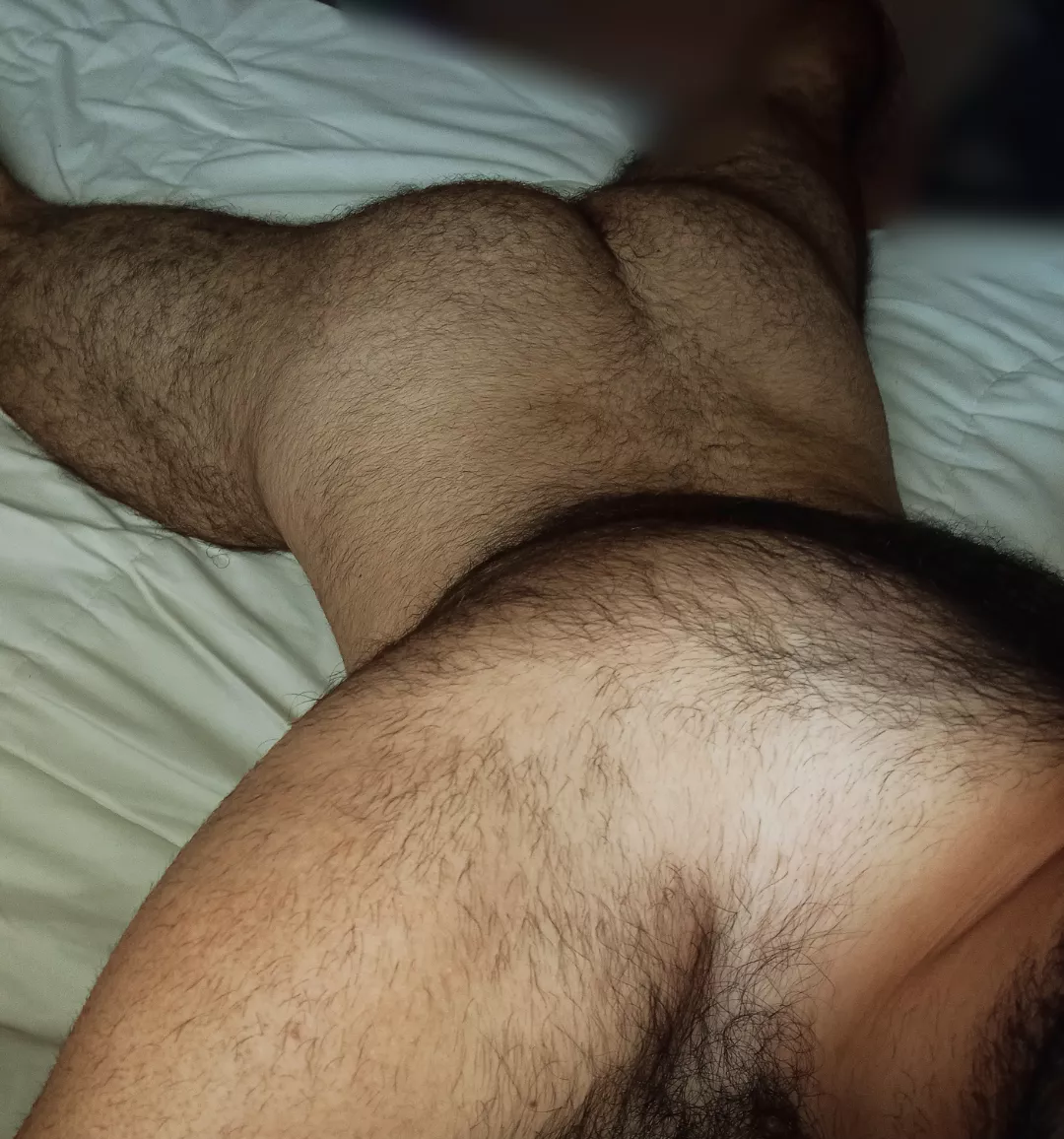 Hairy enough? posted by gggoolldd1007