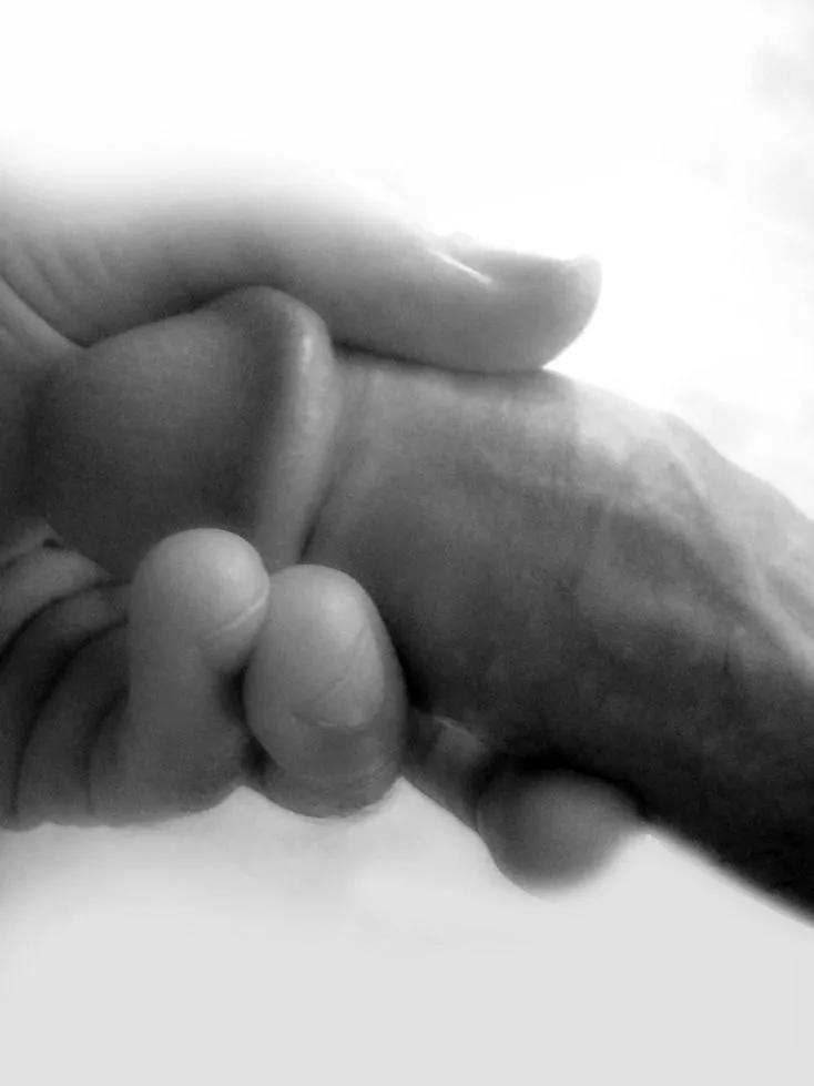 hand shake posted by poisson-iv